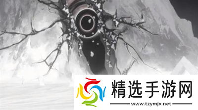 新月同行充值怎么退款