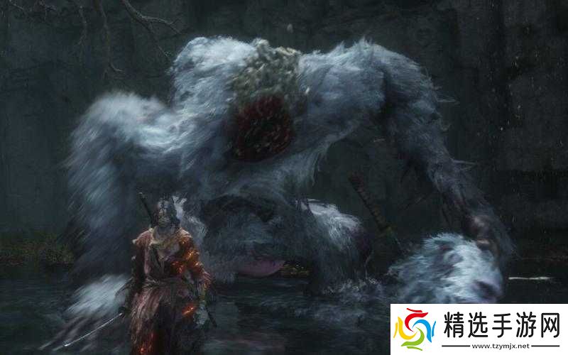 只狼狮子猿后路线指引