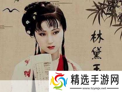 宝玉林黛玉初尝风雨的解读