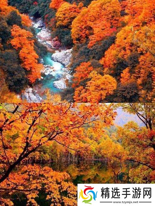 老孙头退休后日的大女儿叫啥名