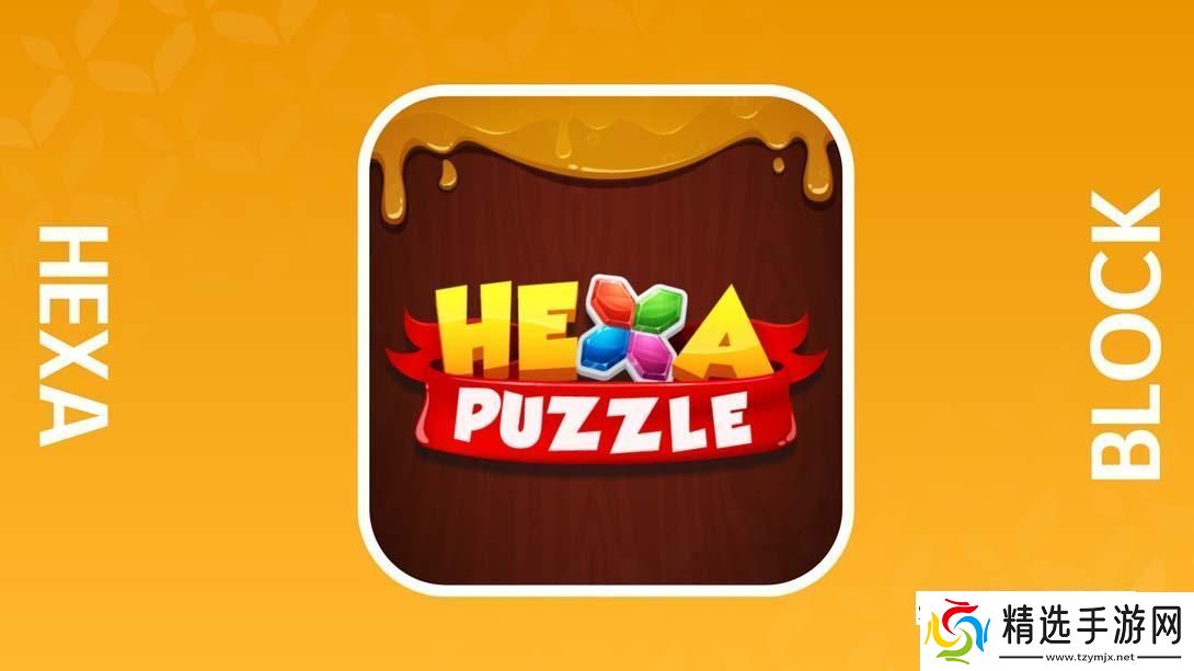 【美版】六边形拼图块