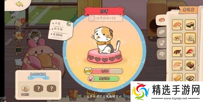 猫猫狗狗同玩猫咪喜爱料理攻略及猫咪好感度提升全攻略