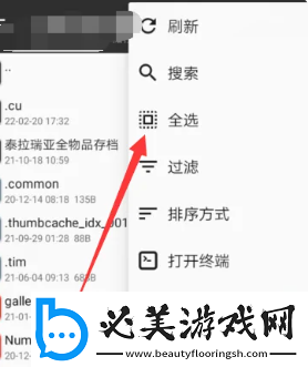 mt文件管理器怎么全选