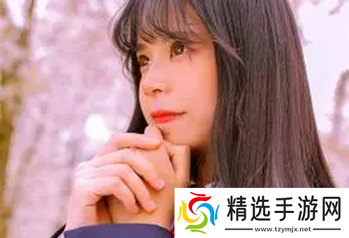 免费的行情网站入口