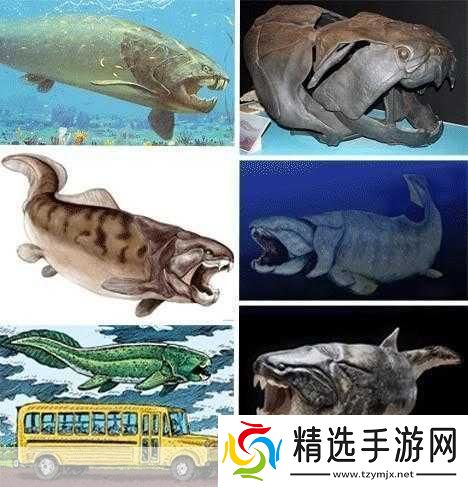 得到超级肉禽系统的紫岭红山有什么特别之处