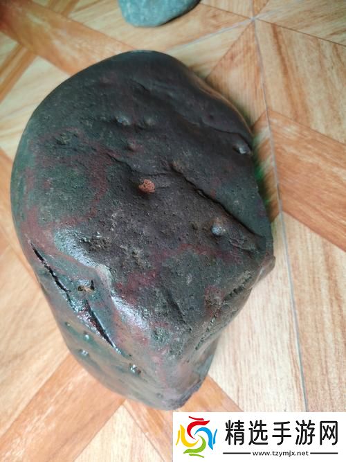 体内结石奇观友直呼