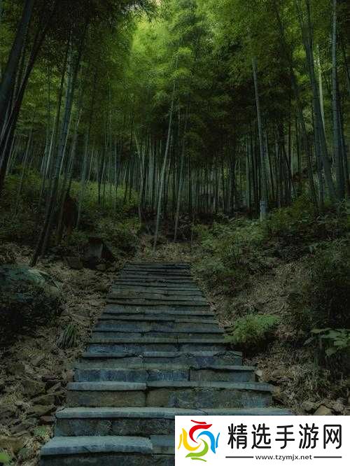 树林深处的神秘呼唤