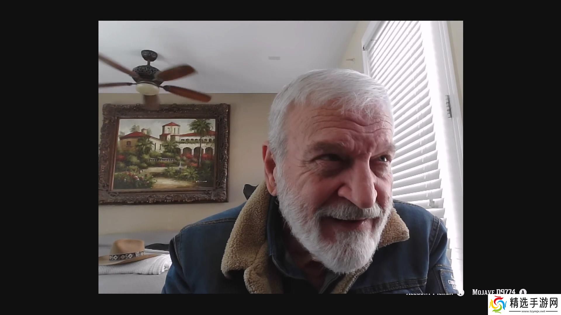 80岁**玩转荒野大镖客2网友