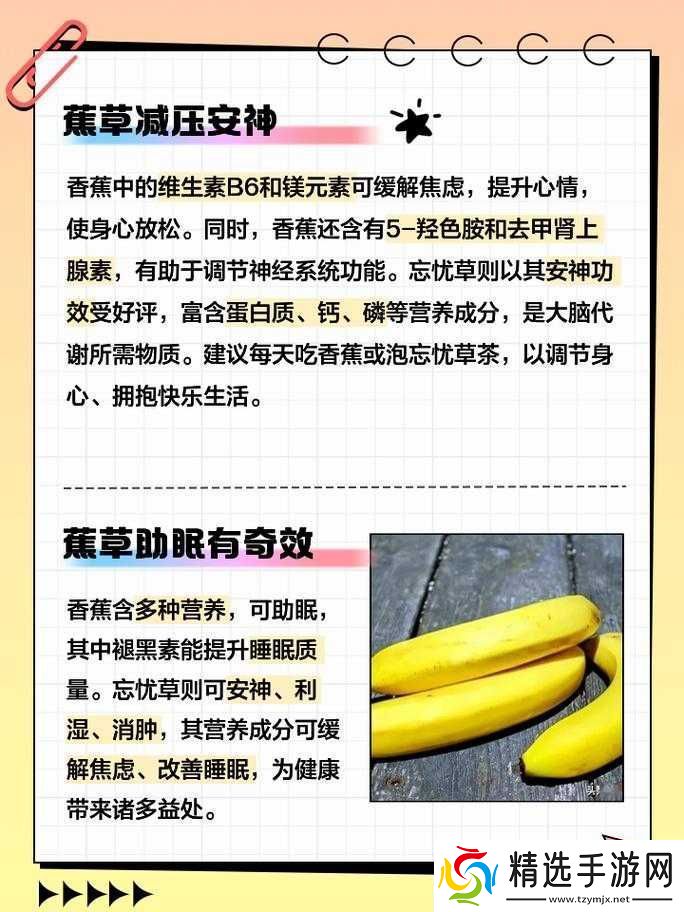 香蕉和忘忧草的区别