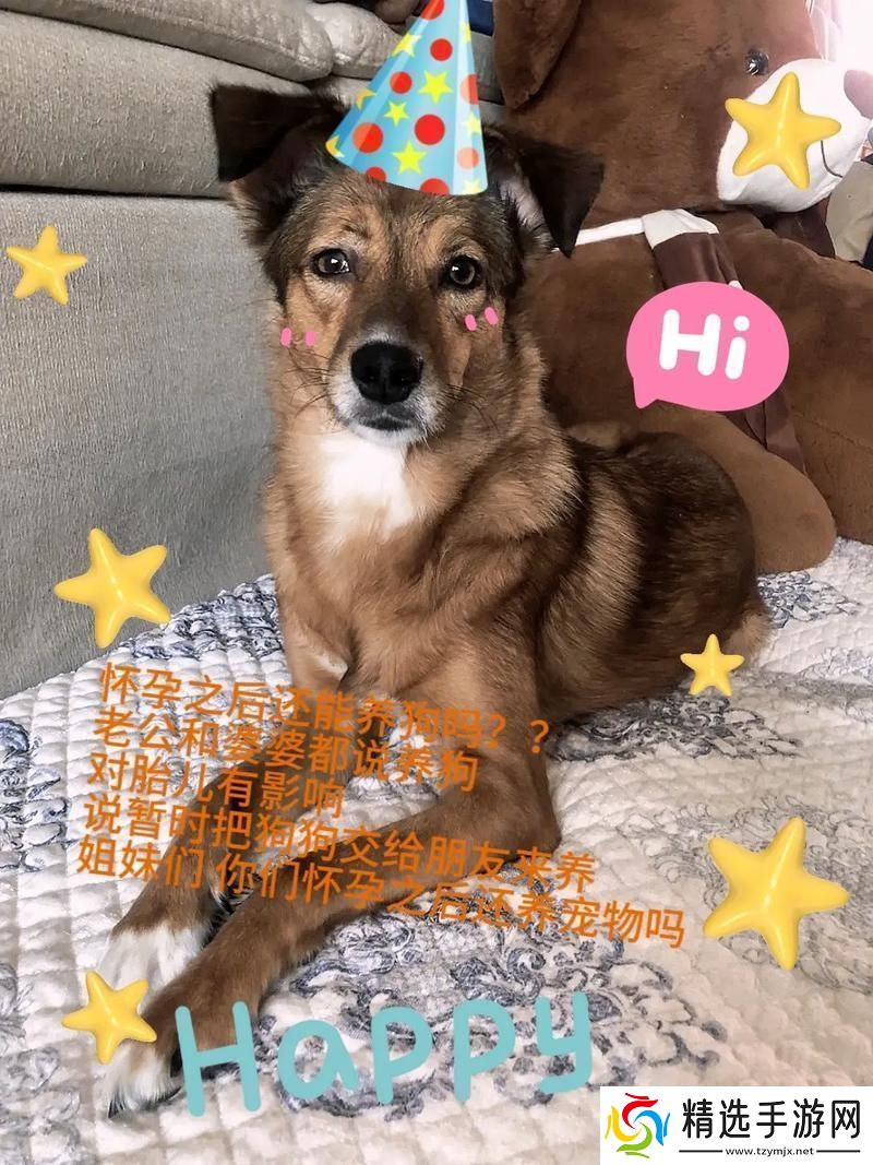 “携手婆婆狗老公生气记