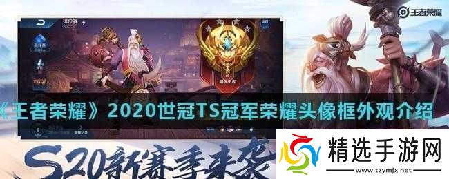 关于王者荣耀2020世冠TS冠军荣耀头像框的获得方式及外观展示