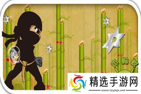 竹中忍者的另类修炼