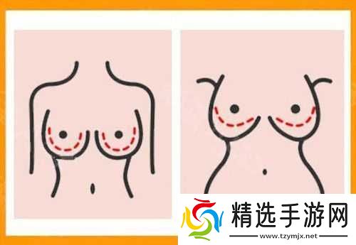 水滴形与圆形**对比