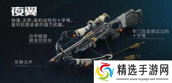 代号生机内测绝密画面流出