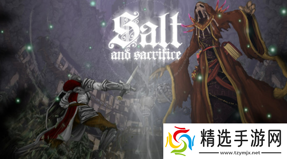 盐与献祭如何进行双人联机