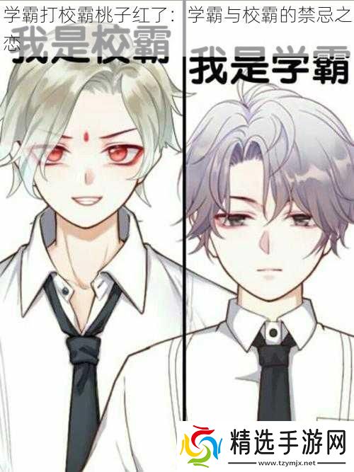 学霸打校霸桃子红了