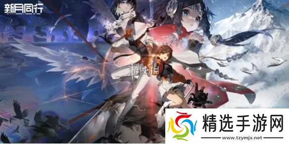 新月同行男女角色占比是多少