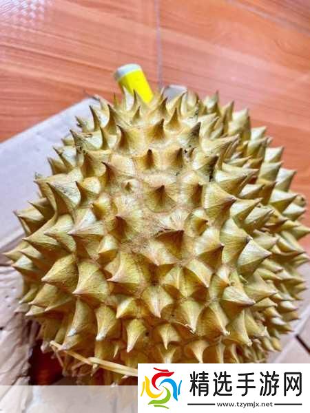 每天都在汆肉中醒来奶油尖尖