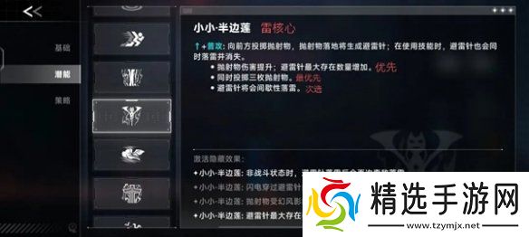 苍翼混沌效应雷其儿风雷流怎么玩