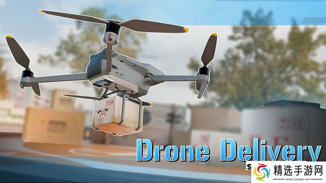 【美版】无人机送货模拟器