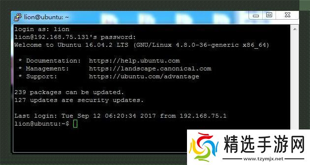 “Linux虚拟机码动天下