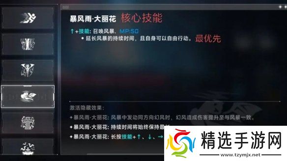 苍翼混沌效应雷其儿风雷流怎么玩