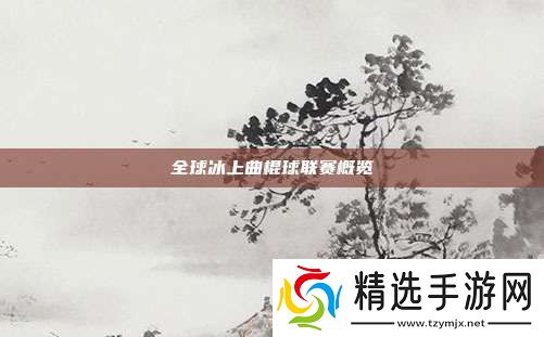 全球冰上曲棍球联赛概览