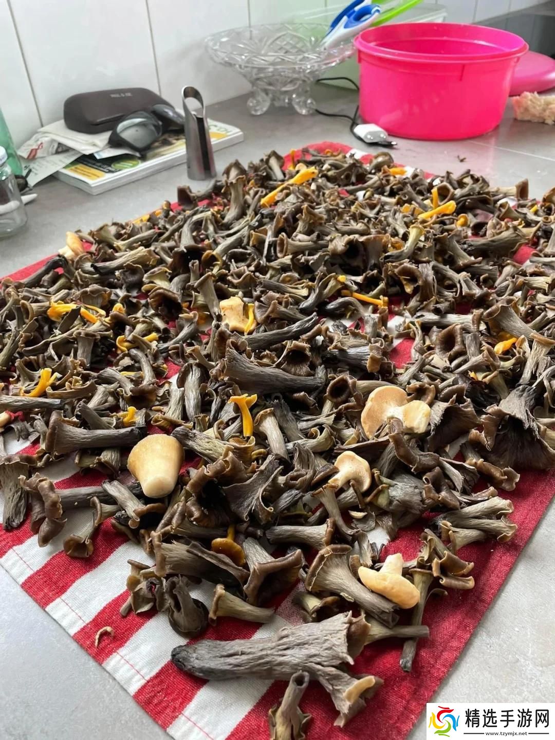 “菇凉”曝光“黑幕”游戏界“亮点”还是“黑洞”