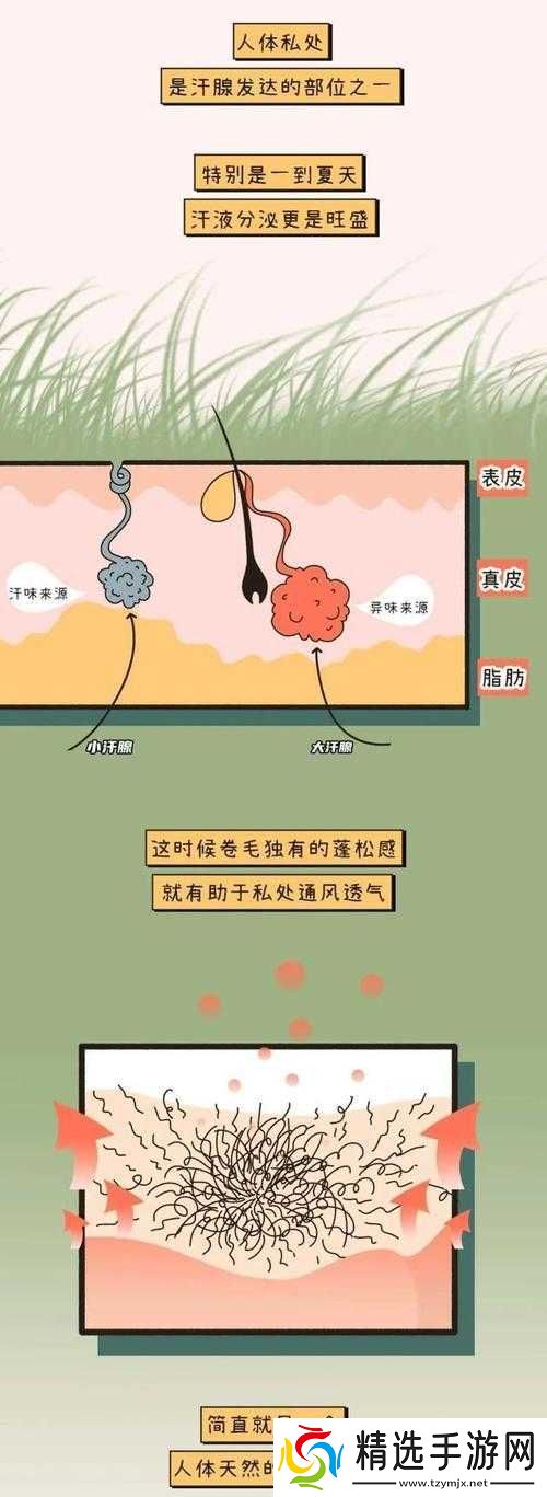 女人毛太多进不去