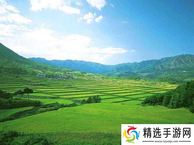 暮夕深林的资源盛宴