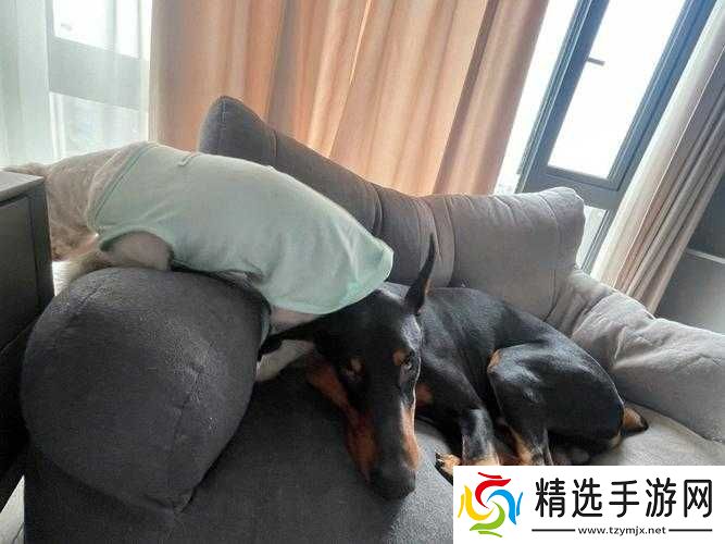 坐着轮流提双腿的功效是什么