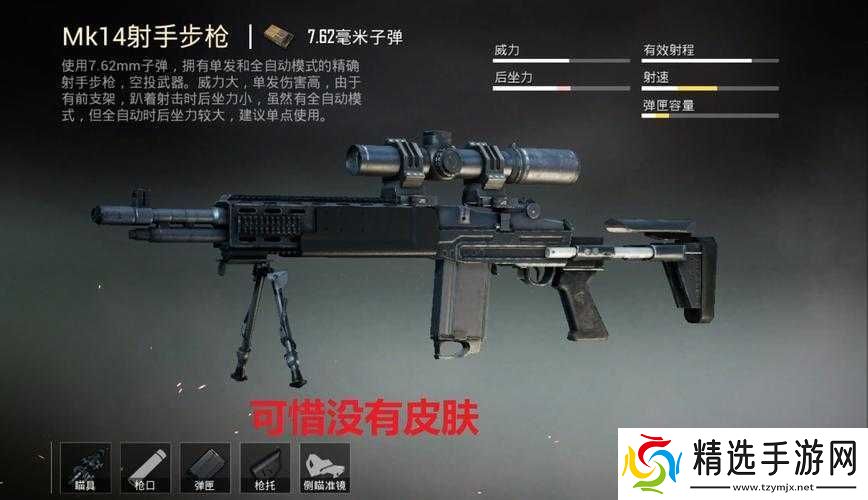 双生视界自动步枪谁最强