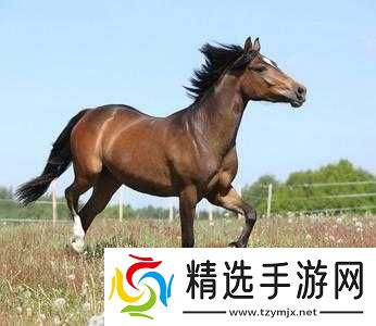 老**春天回敏捷