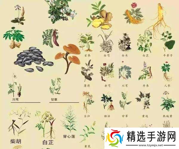 铜水好痛和铜水好深的区别