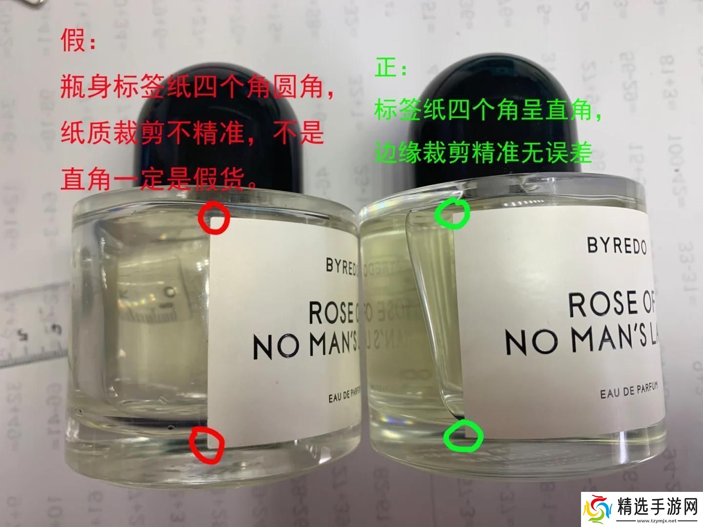 新版老版无人区玫瑰