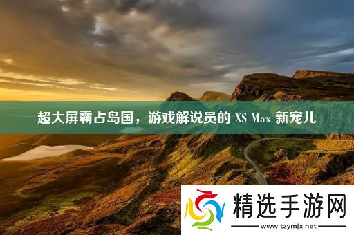超大屏霸占岛国游戏解说员的XSMax新宠儿