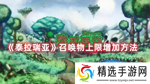 泰拉瑞亚召唤物上限怎么增加