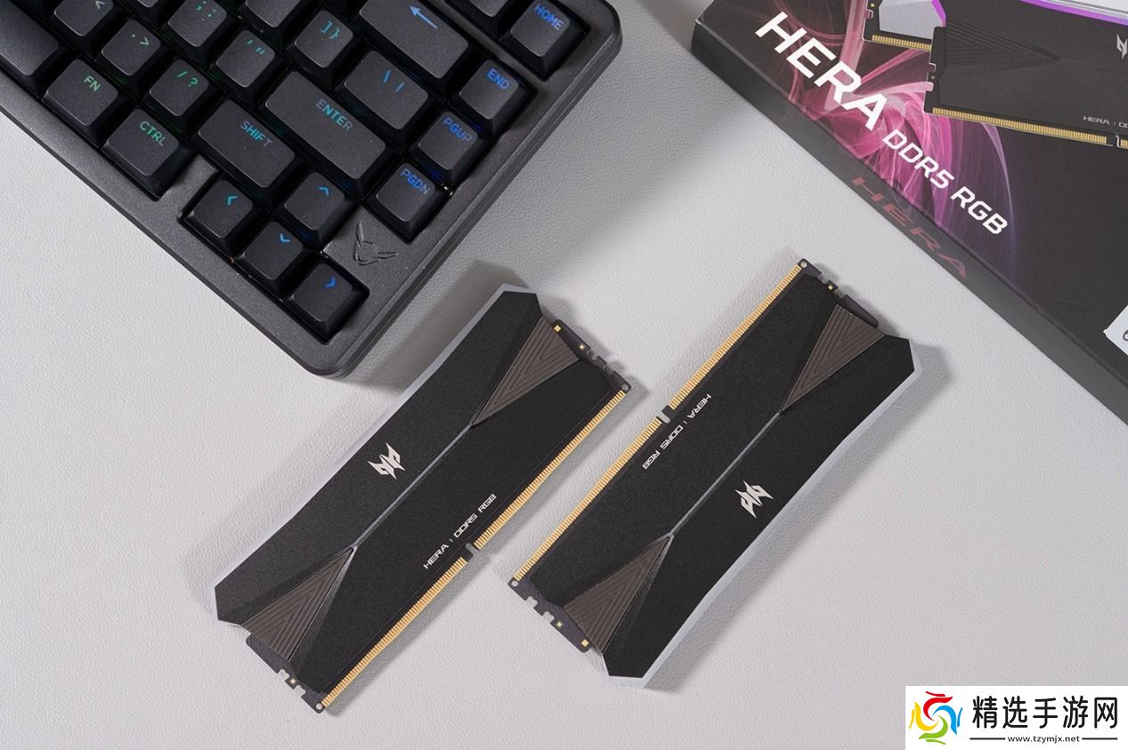 宏碁掠夺者HERADDR5