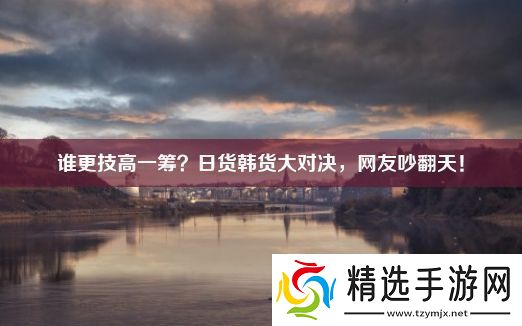 谁更技高一筹日货韩货大对决网友吵翻天!