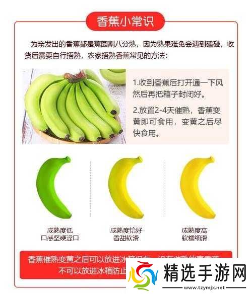 进口香蕉和国产香蕉营养区别
