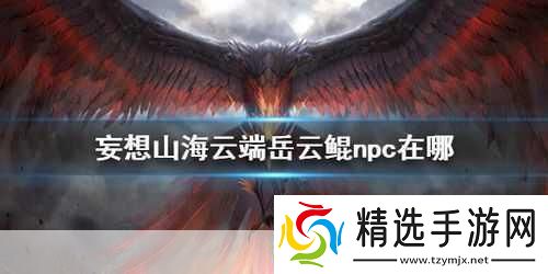 妄想山海岳云鲲NPC位置全知晓探索山海不再迷茫