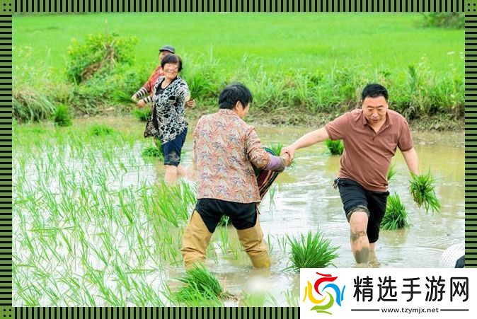 插秧界的“百变星君”