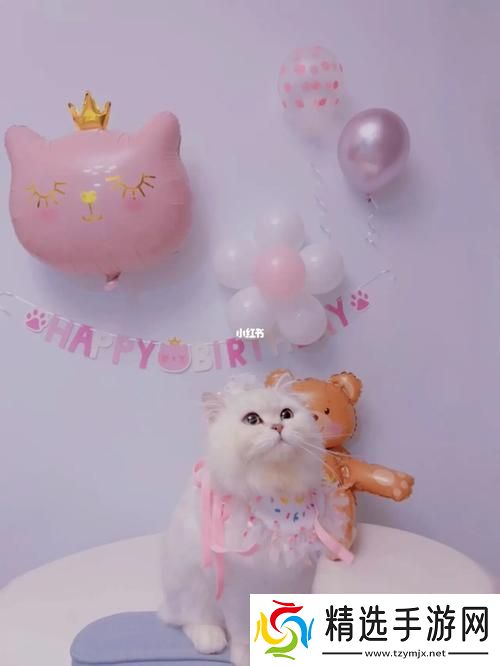 3Q智闹匠心独运——科技圈里的另类生日庆典