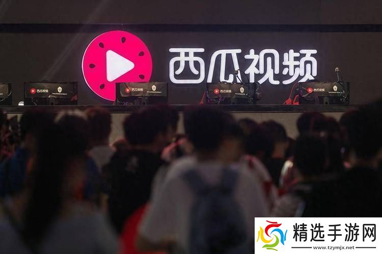 探寻最好看的免费观看西瓜