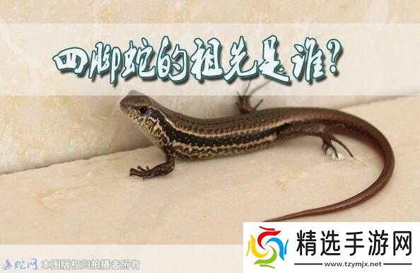 民间说法称清明蔗毒过蛇真正原因是背后的科学秘密