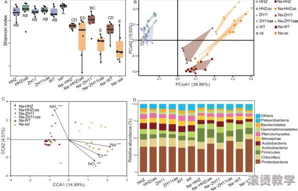 s是怎么调m的200条"
