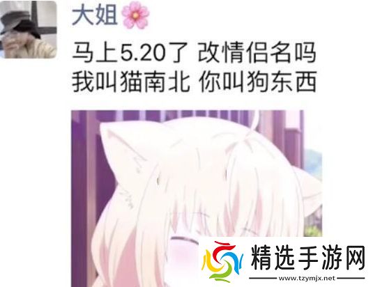 猫南北狗东西是什么梗络用语