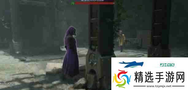 霍格沃茨之遗凤凰崛起任务完成步骤