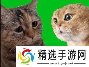 猫猫对话是什么梗络用语