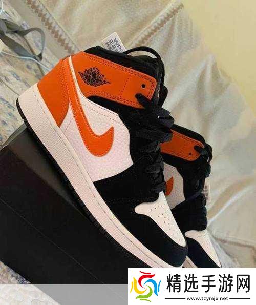 长清大学大一AJ资源